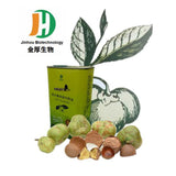 CAMELLIA SINENSIS SEED OIL